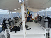 Diving Malapascua