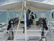 Diving Malapascua